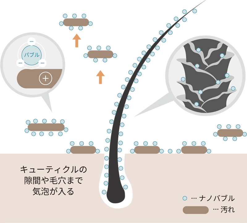 吸着除去のメカニズム