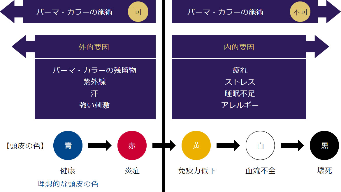 頭皮カウンセリング